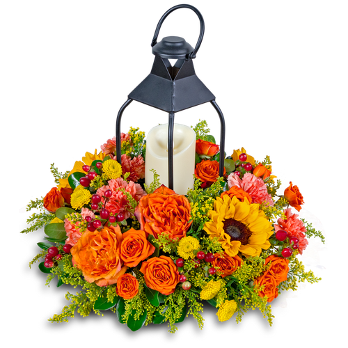 Goldenrod Lantern