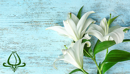 Philadelphia: The Story of the Easter Lily