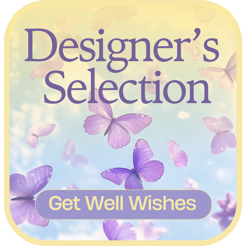 Designer's Selection Get Well Wishes