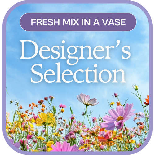 Designer's Selection