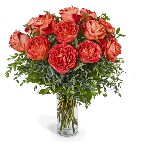 One Dozen Wild Spirit Roses