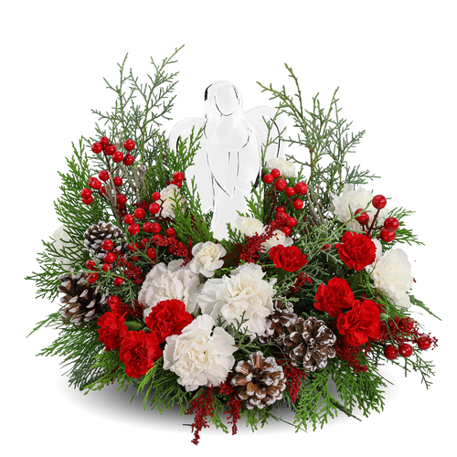 Angel In Silent Night