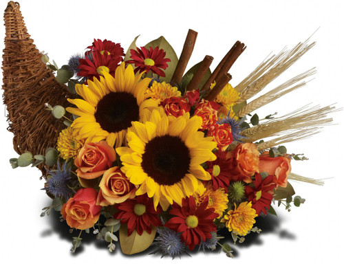 Dazzling sunflowers, light orange roses and spray roses, red daisy spray chrysanthemums, yellow cushion spray chrysanthemums, eucalyptus, magnolia leaves, cinnamon sticks and wheat are perfectly arranged in a wicker cornucopia. Now you know why cornucopia translates to the horn of plenty.
