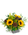 Harvest Sunburst 