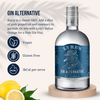 Lyre's Dry London Gin Alternative (Case-6)