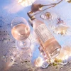 Noughty Rosé (Case of 6) — under 0.5% Non-Alcoholic Rosé Wine, South Africa