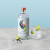Seedlip Notas de Agave non-alcoholic spirit bottle