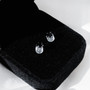 Elaris 18k Black Diamond Earring