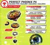 HASBRO Perfect Phoenix P4 Burst Turbo SlingShock Beyblade E4742