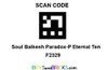 Soul Balkesh Paradox-P Eternal Ten QR Code / Scan Code