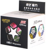 QiYi QiHeng Megaminx 12 Sided Magic Speed Cube / Twist Puzzle 9.5CM