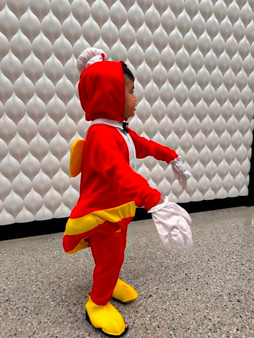 Kids Jollibee Costumes