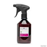 POLISHANGEL Agent Glass Cleaner