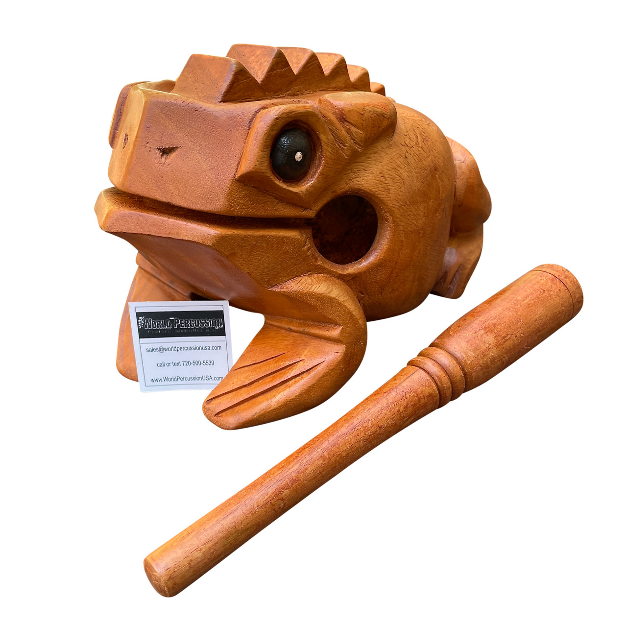 Deluxe Jumbo 11" Wood Frog Guiro Rasp Djembe Direct