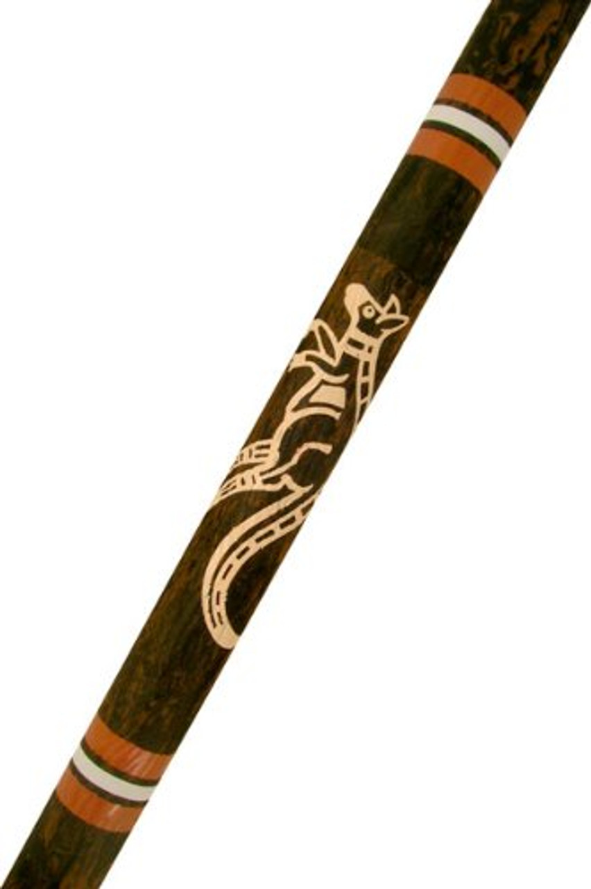 Best Learning Didgeridoo Easy to Play! + FREE CD, Instructional