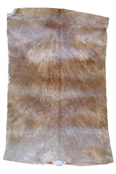 West African Goat Skin - Thick Shaved West African Goat Skin - Thick Shaved