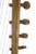 Paragon Heartwood Mali Pro Kamel Ngoni - 8 String Paragon Heartwood Mali Pro Kamel Ngoni - 8 String