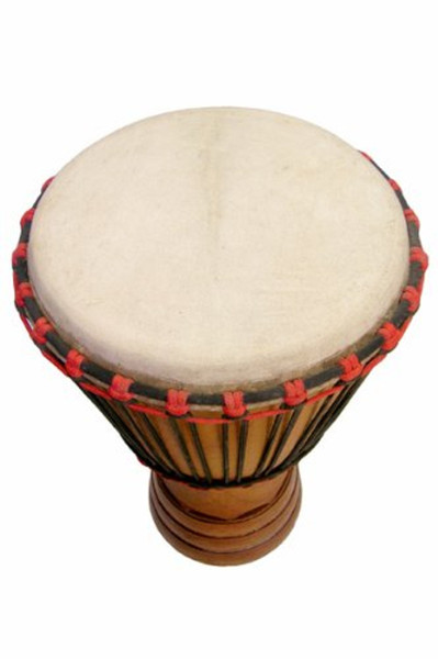 Paragon Heartwood Ivory Coast Djembe - 14x25 - Djembe Direct