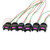 6x Connector 2-way 2 pin for Fuel Injector EV1, PT2164