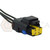 1x Connector 4-way for Fog Lights WPT-1395