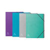 Exacompta Teksto Multipart File A4 12 Part Assorted, set of colorful assorted multipart files with elastic closures for organizing documents.