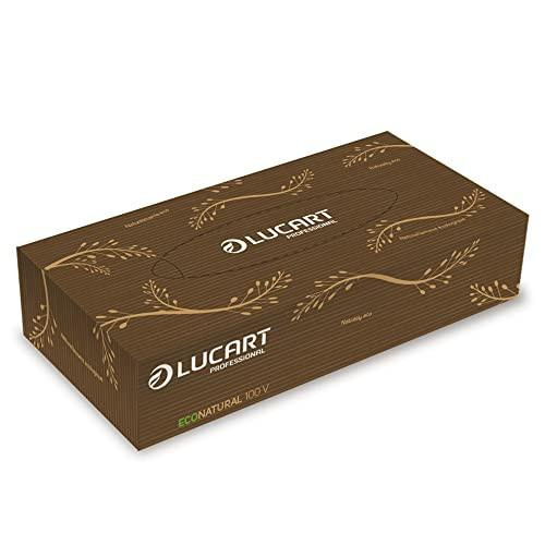 Lucart 100 Pcs Facial Tissue, brown box with decorative gold leaf patterns and the Lucart logo.