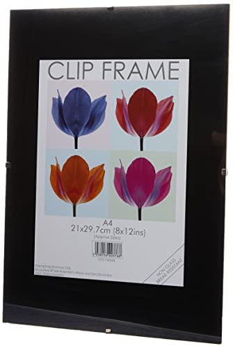 Hampton Frames CLIP Photo Poster Display Clip Frame Perspex Acrylic (Non Glass) A4 (21x30cm) CF2130NG
