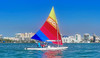 SOL monohull sailboat sunfish sailing