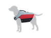BirdDog