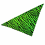 Lime green Zebra print Headscarf