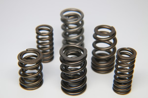 Ferrea Ford Zetec ZX2 Single Valve Spring - Single (Drop Ship Only)