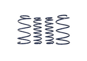 2013 Cobra Jet Spring Kit (M-5300-RA)
