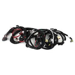 Holley EFI Terminator X LT Main Engine Harnesses 558-129