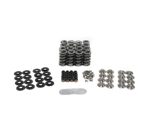 BTR .660" Platinum LT4 Valve Spring Kit Stock Guides - SK008
