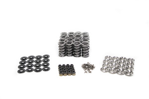 BTR Platinum LS9 Dual Spring Kit - .660" Lift - SK006