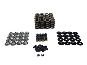 BTR Spring Kit - Solid Roller LSx - .750" Lift - SK427