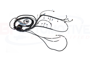 BP Automotive Standalone Harness - 99-02 LS1 - DBC Engine Harness - 4L60E - H303