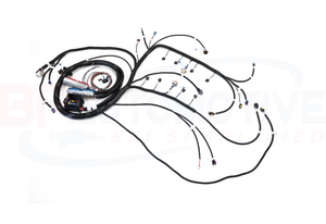 BP Automotive Standalone Harness - 99-02 Vortec - DBC - 4L80E - H305