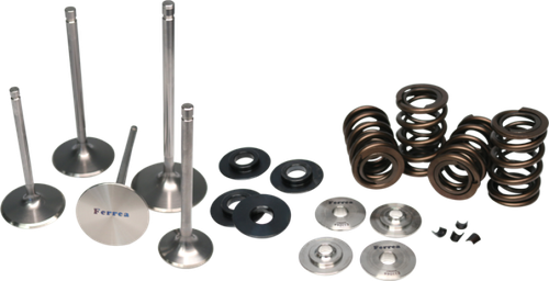 Ferrea Nissan GT-R VR38DETT Dual Spring Kit