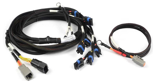 HALTECH NEXUS V8 IGN-1A HARNESS - HT-186060