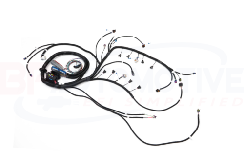BP AUTOMOTIVE STANDALONE HARNESS - 97-06 LS1 - 4L80E TRANSMISSION - SHOWSTOPPER LOOM - H302-SS