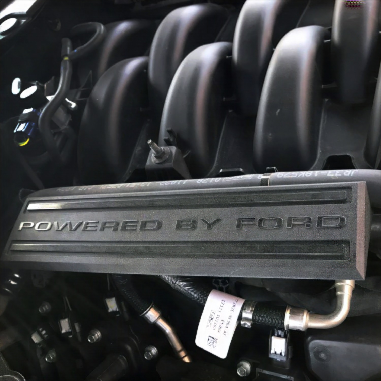 2018-2023 5.0L "Powered By Ford" Engine Dress Up Kit (M-9680-M50BA)