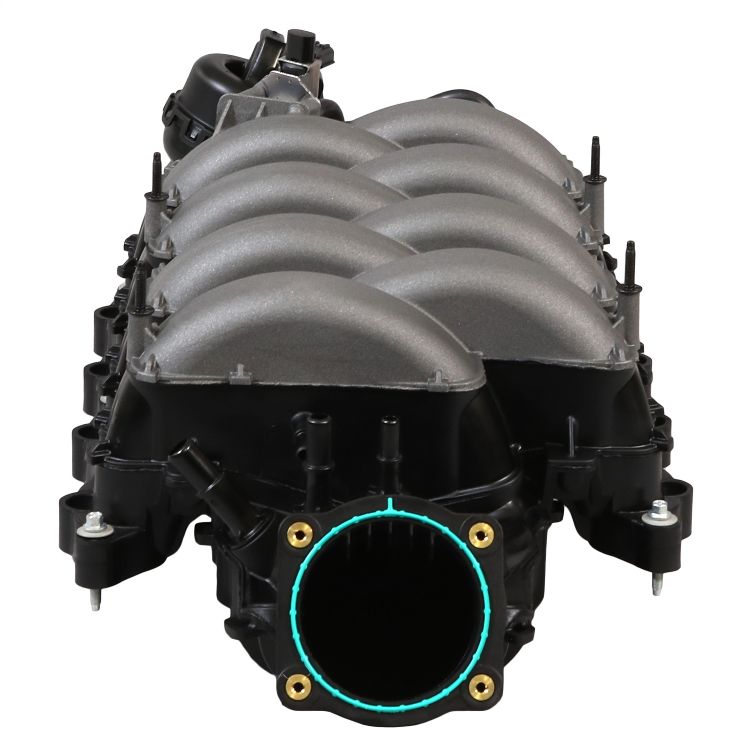 2018-2023 Gen 3 5.0L Coyote Intake Manifold (M-9424-M50C)