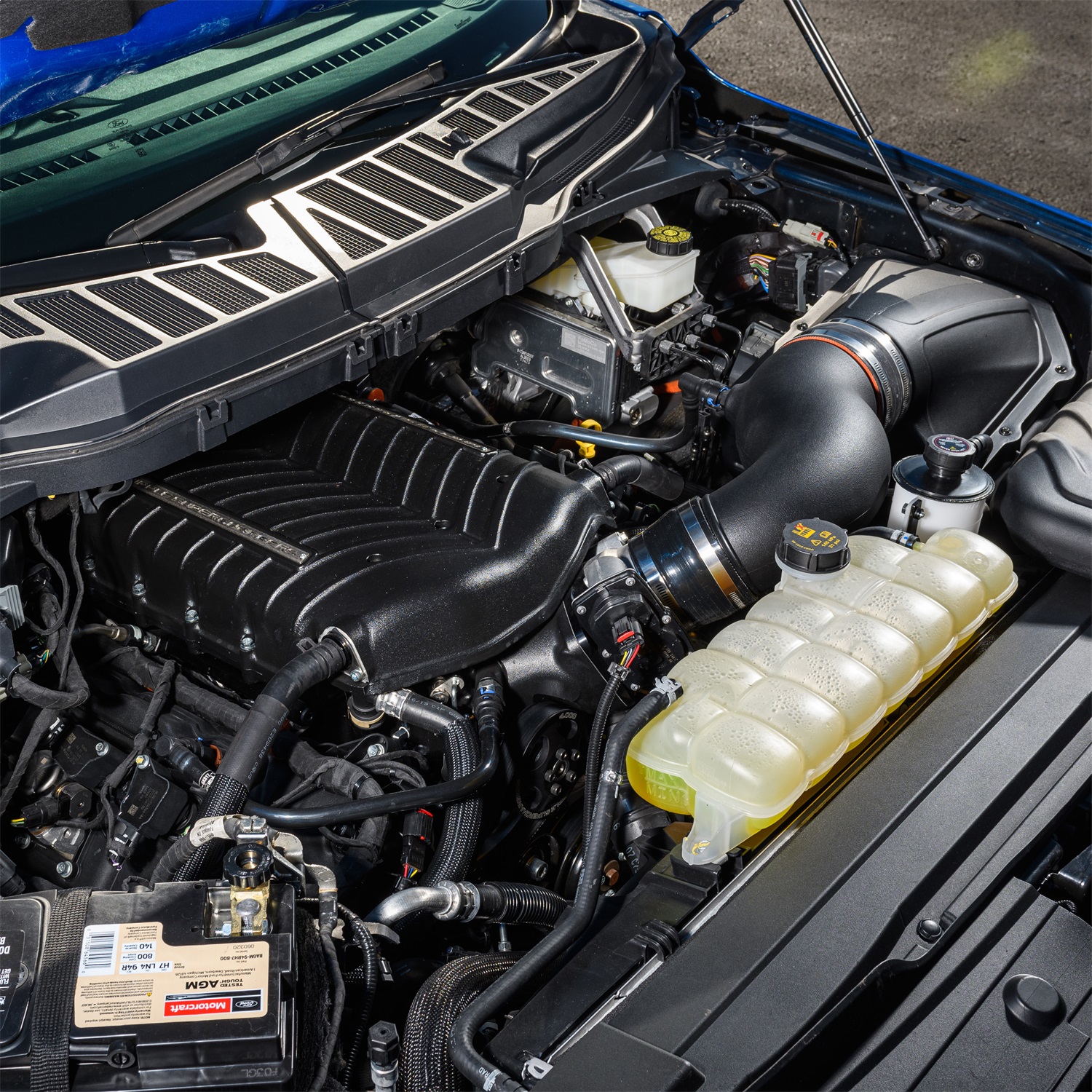 2021-2025 F150 5.0L Supercharger Kit (M-6066-F150SCA)