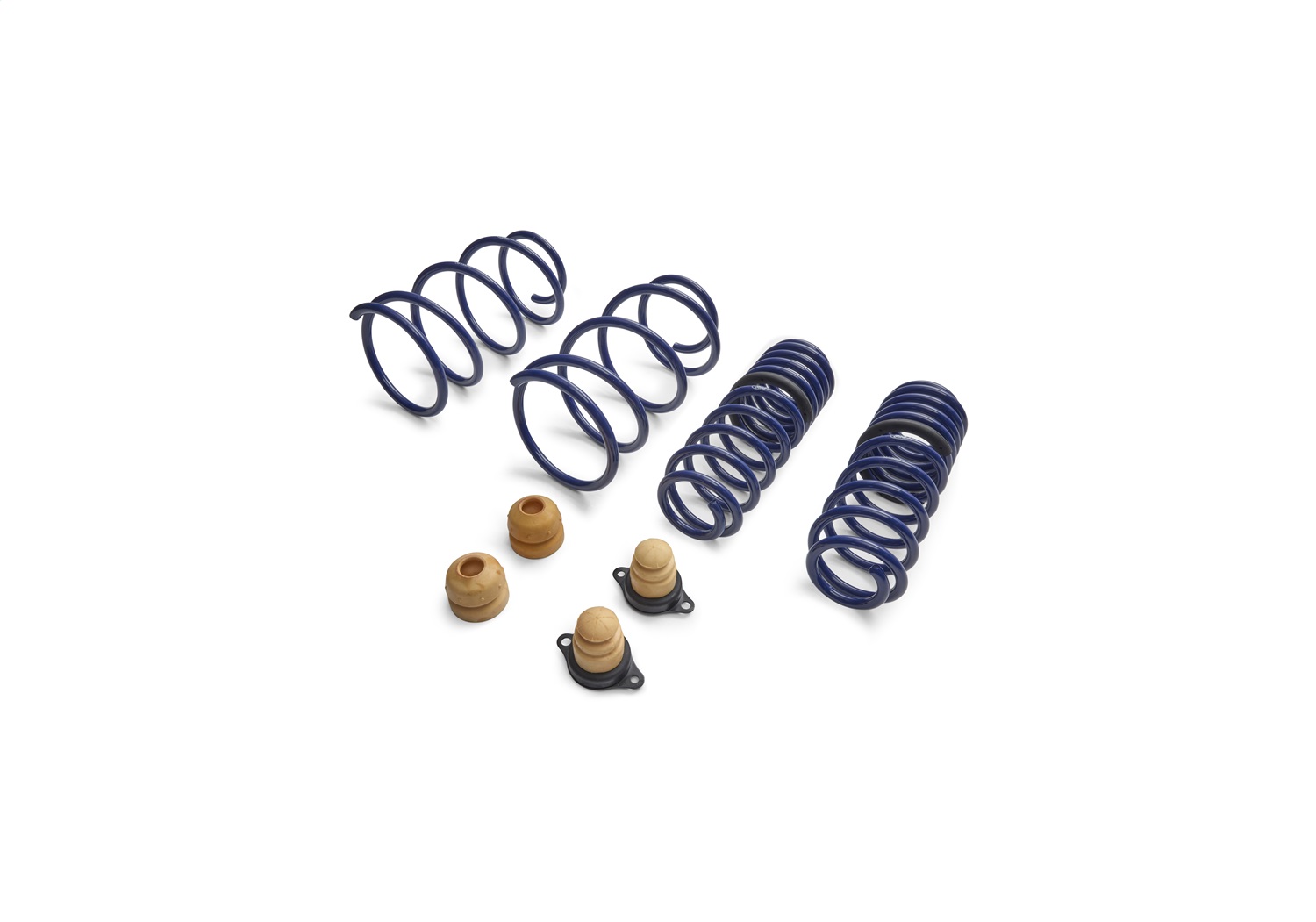 2012-2013 Boss 302 Lowering Springs (M-5300-T)