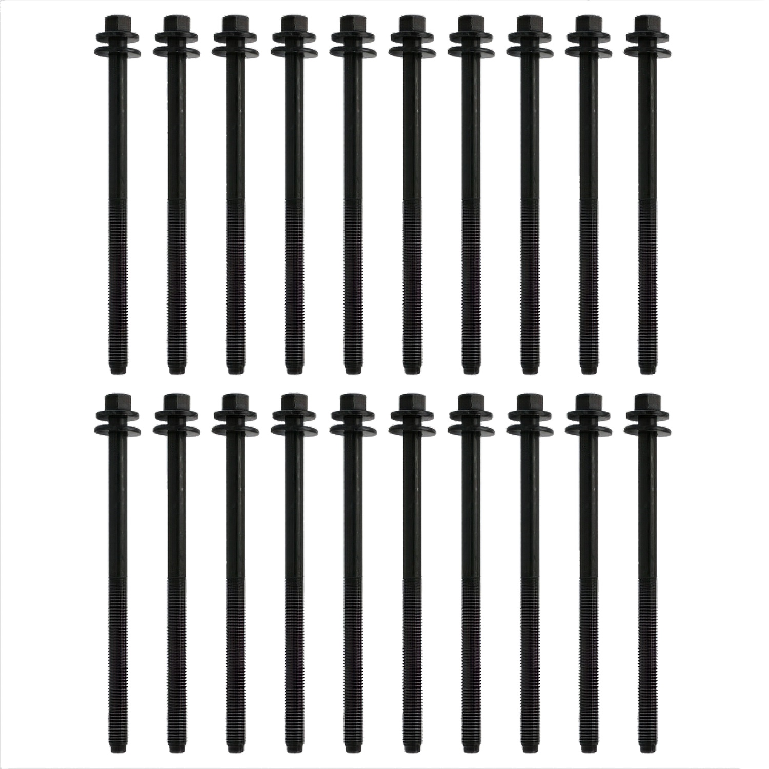5.0L/5.2L Coyote 12MM Long Head Bolt Kit (M-6067-M501280)