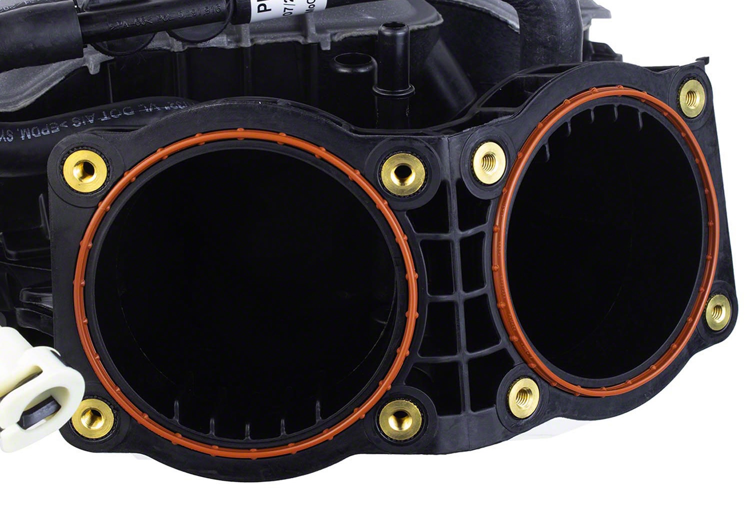 2024-2025 Mustang 5.0L Dual Throttle Body Intake Manifold (M-9424-M50D)