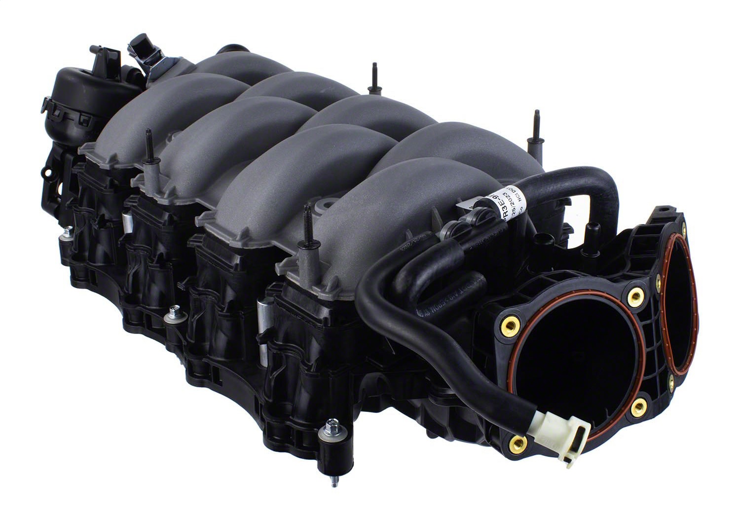 2024-2025 Mustang 5.0L Dual Throttle Body Intake Manifold (M-9424-M50D)
