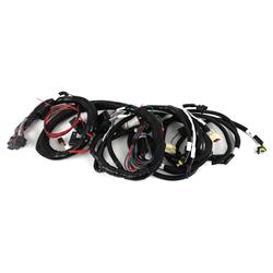 Holley EFI Terminator X LT Main Engine Harnesses 558-129