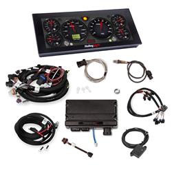Holley Terminator X Engine Management Systems 550-904-2